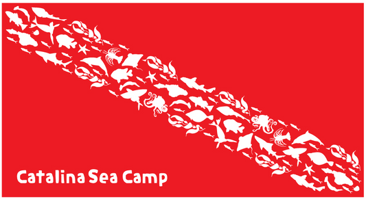 Dive Flag Microfiber Towel (60"x32")