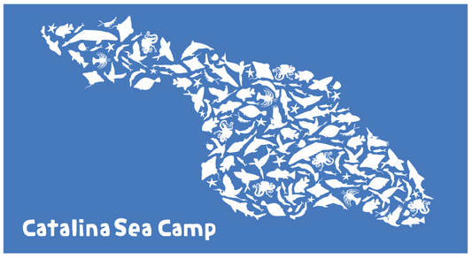 Catalina Microfiber Towel (60"x32")